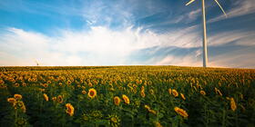 Windmolens en zonnebloemen